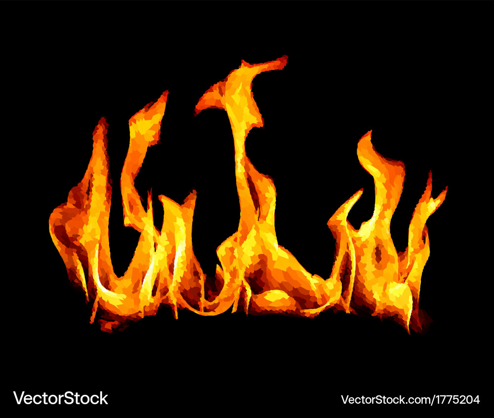 Burn flame fire background Royalty Free Vector Image