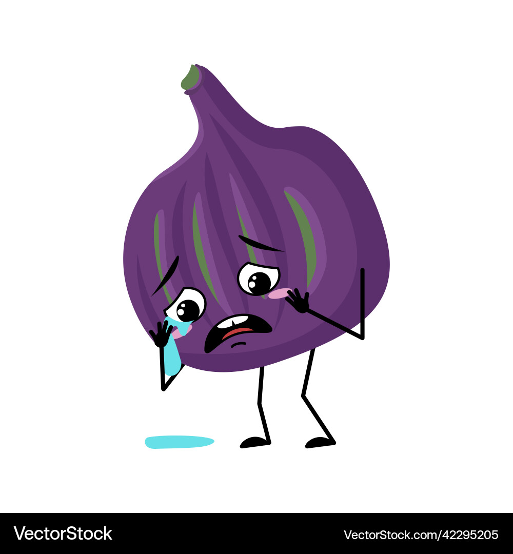 Fig character with crying and tears emotion Vector Image