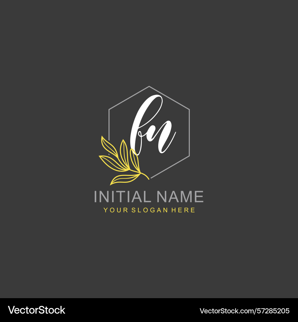 Fn initial logo templates with botanical elements Vector Image