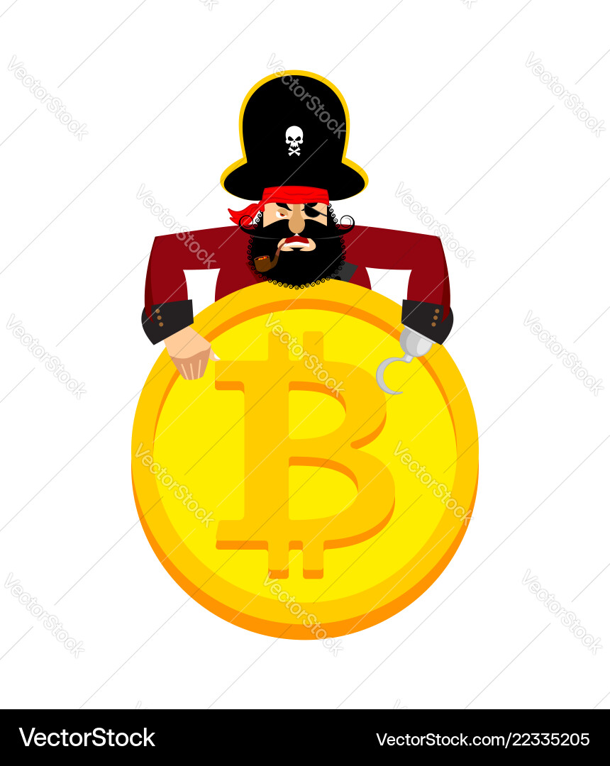 Web pirate and bitcoin hacker thief crypto Vector Image
