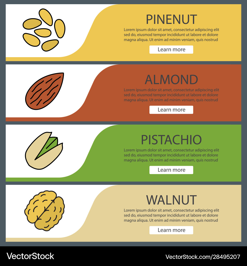 Nuts types web banner templates set Nuts types web banner templates set Vector Image