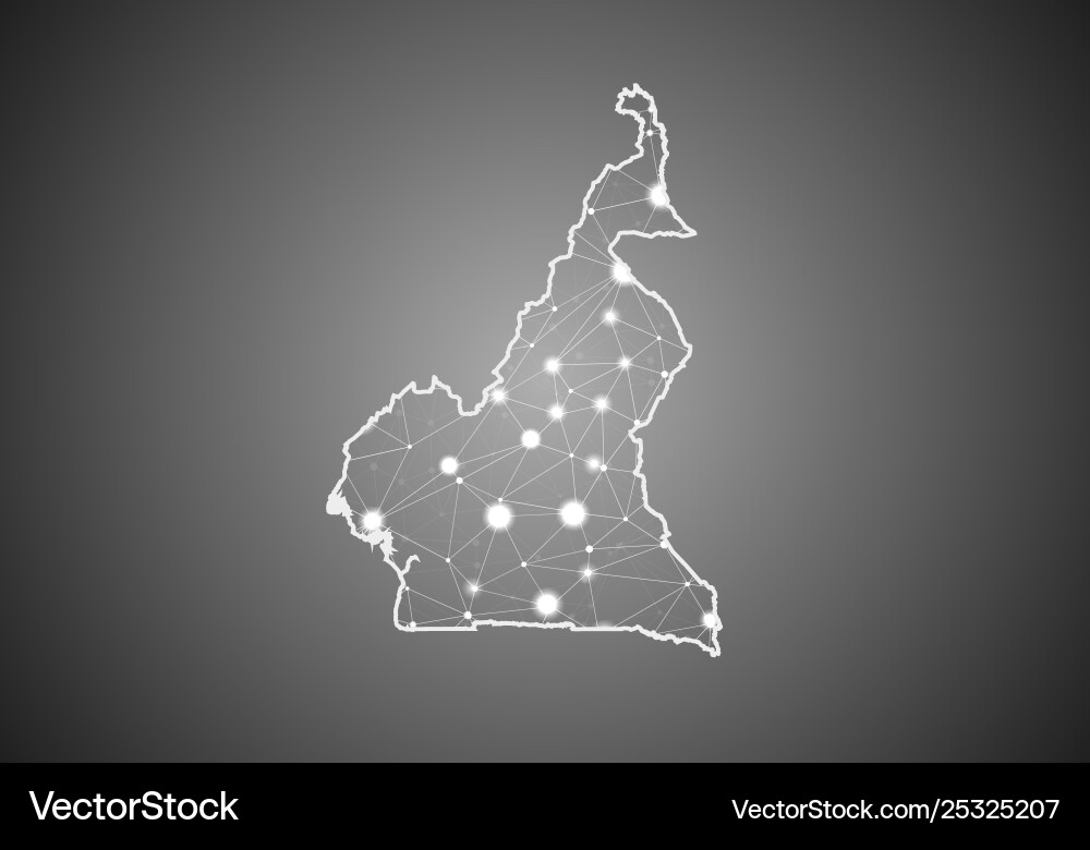Wireframe mesh polygonal cameroon map abstract vector image