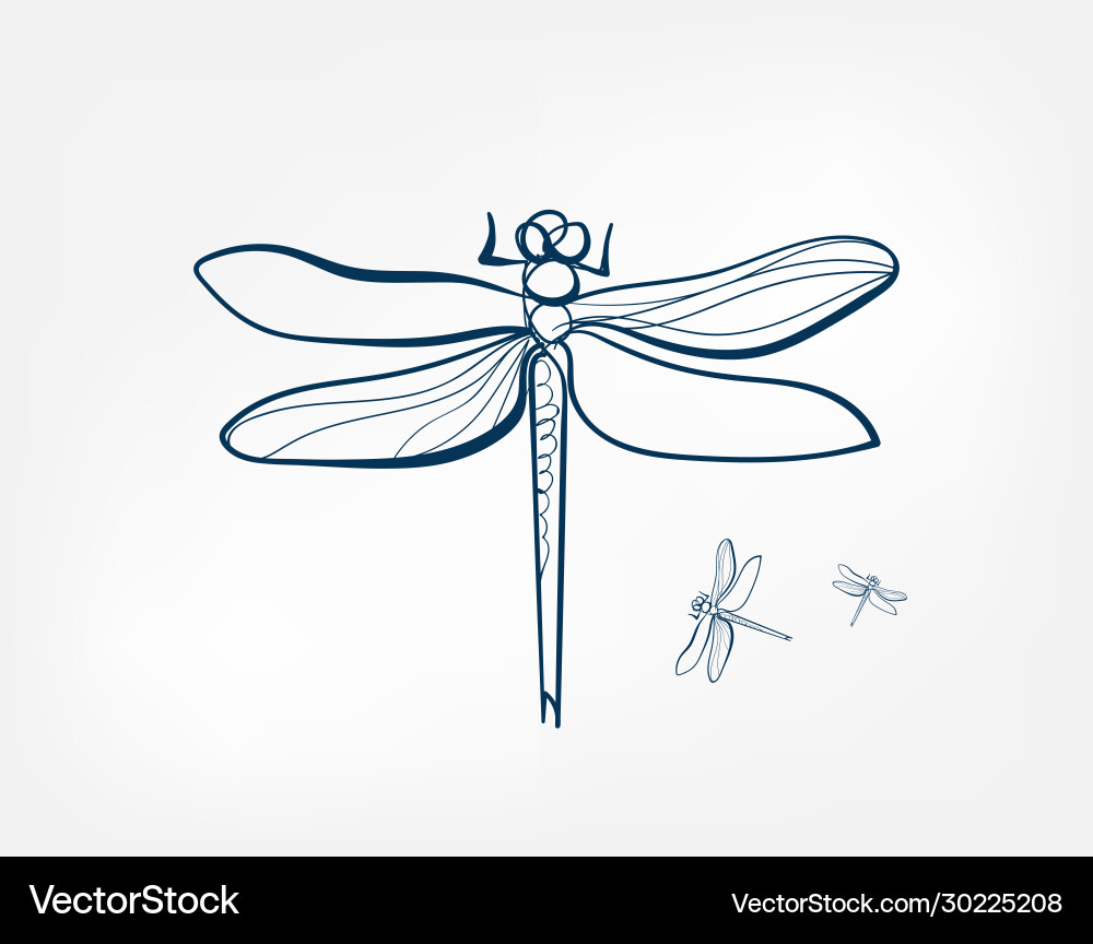 Dragonfly Insekten Kunstlinie isoliert doodle Dragonfly Insekten Kunstlinie isoliert doodle vektorbild