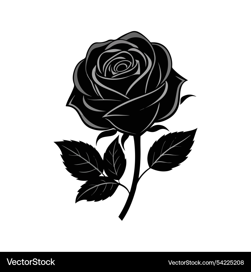 Elegant black rose art Royalty Free Vector Image