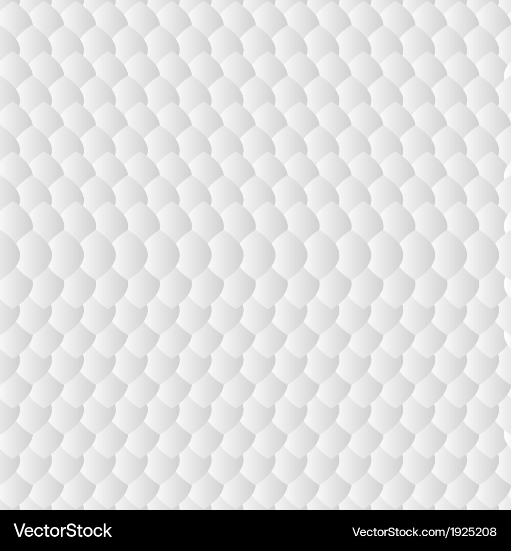 White geometric pattern simulation scales Vector Image
