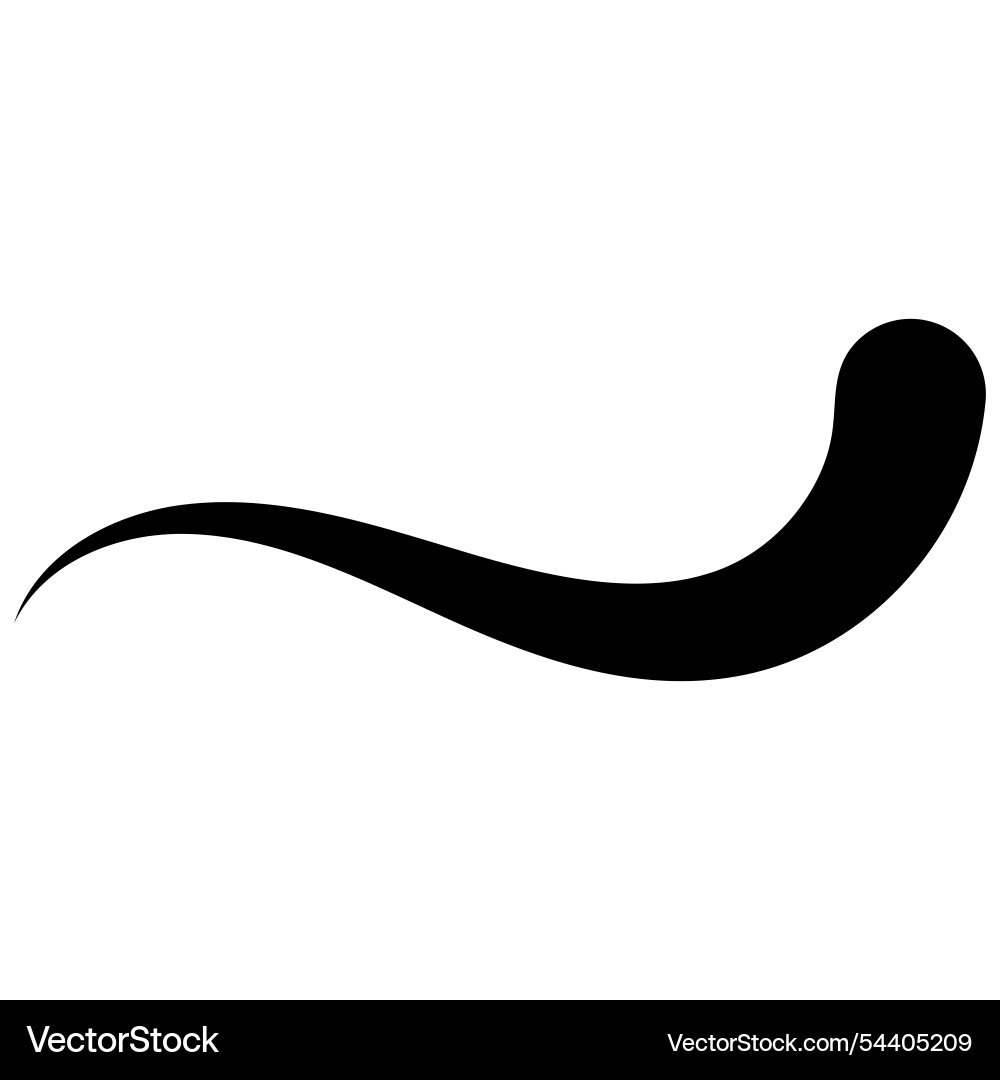 Curved curve calligraphy line curl vector image