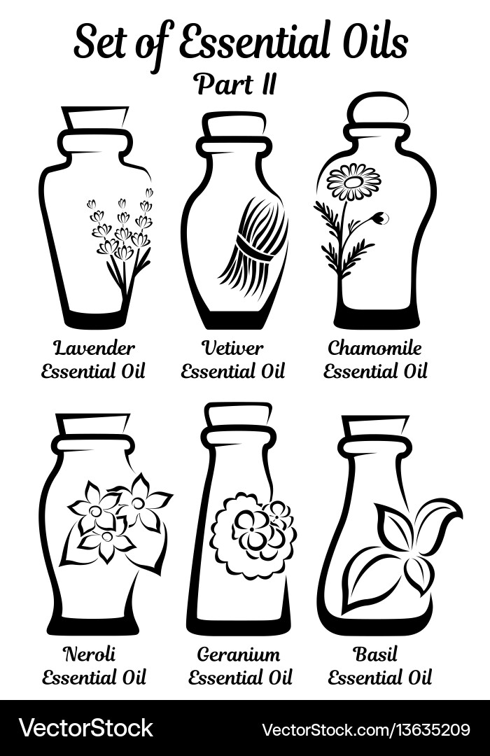 Set of stylized bottles with essential oils part 2 Vector Image