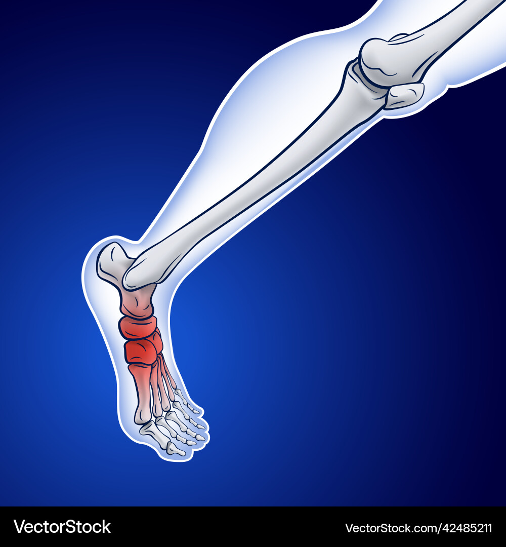 An of a running skeletal line showing red dot An of a running skeletal line showing red dot vector image