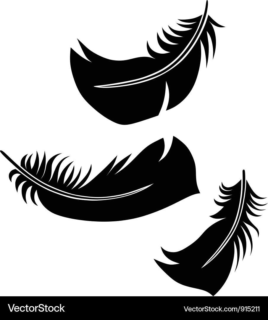 Feather set Vector Image
