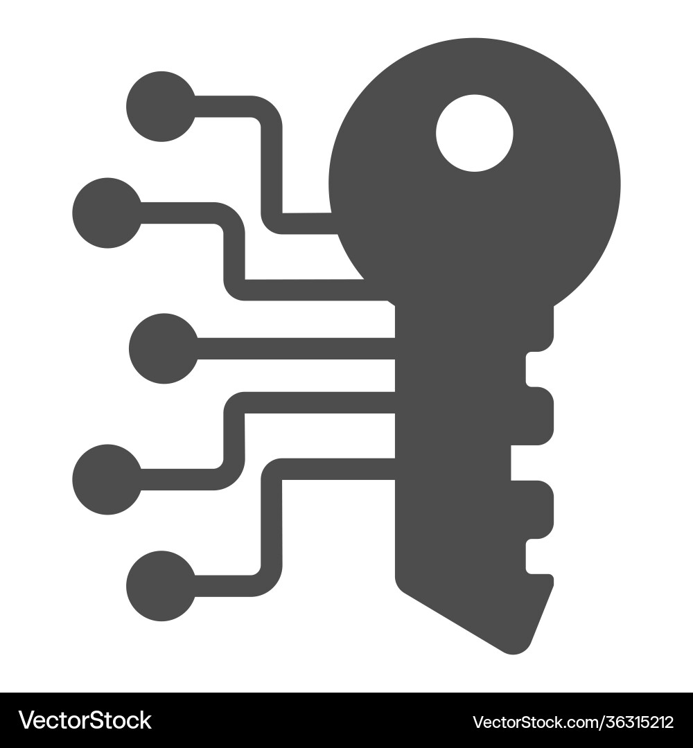 Digital key with network solid icon web security Digital key with network solid icon web security vector image