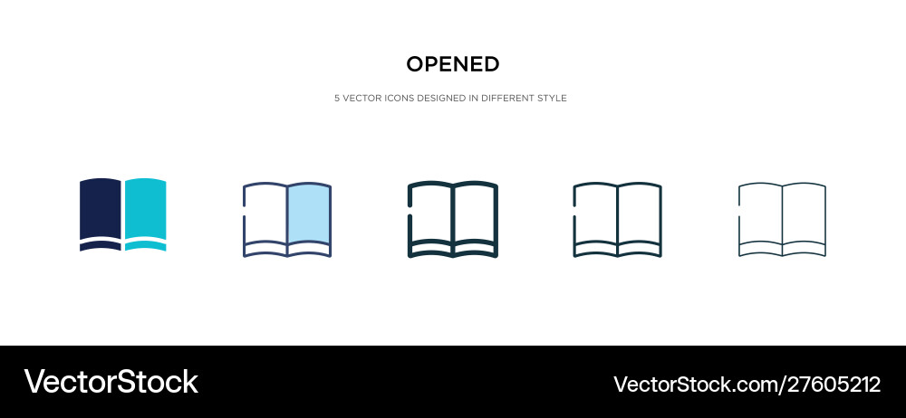 Opened icon in different style two colored vector image