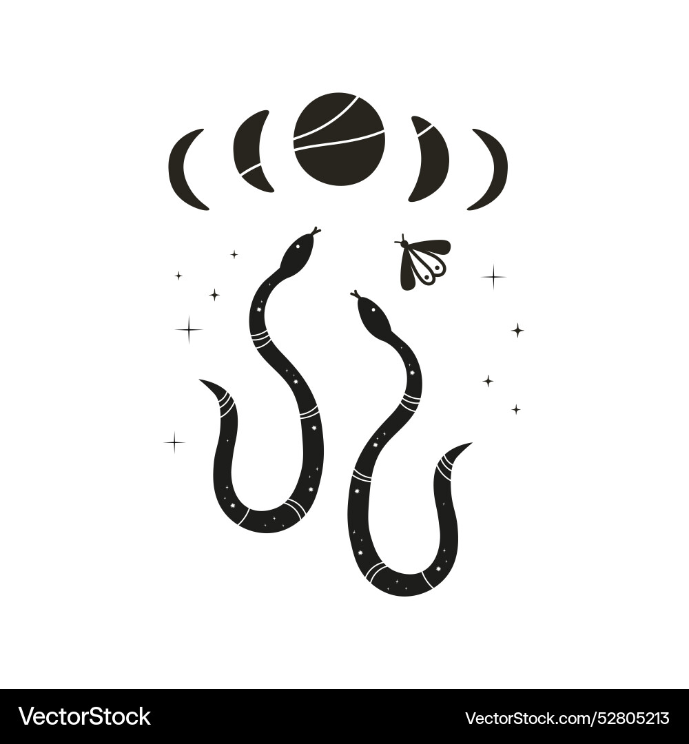 Abstract composition with snakes moon stars Abstract composition with snakes moon stars vector image