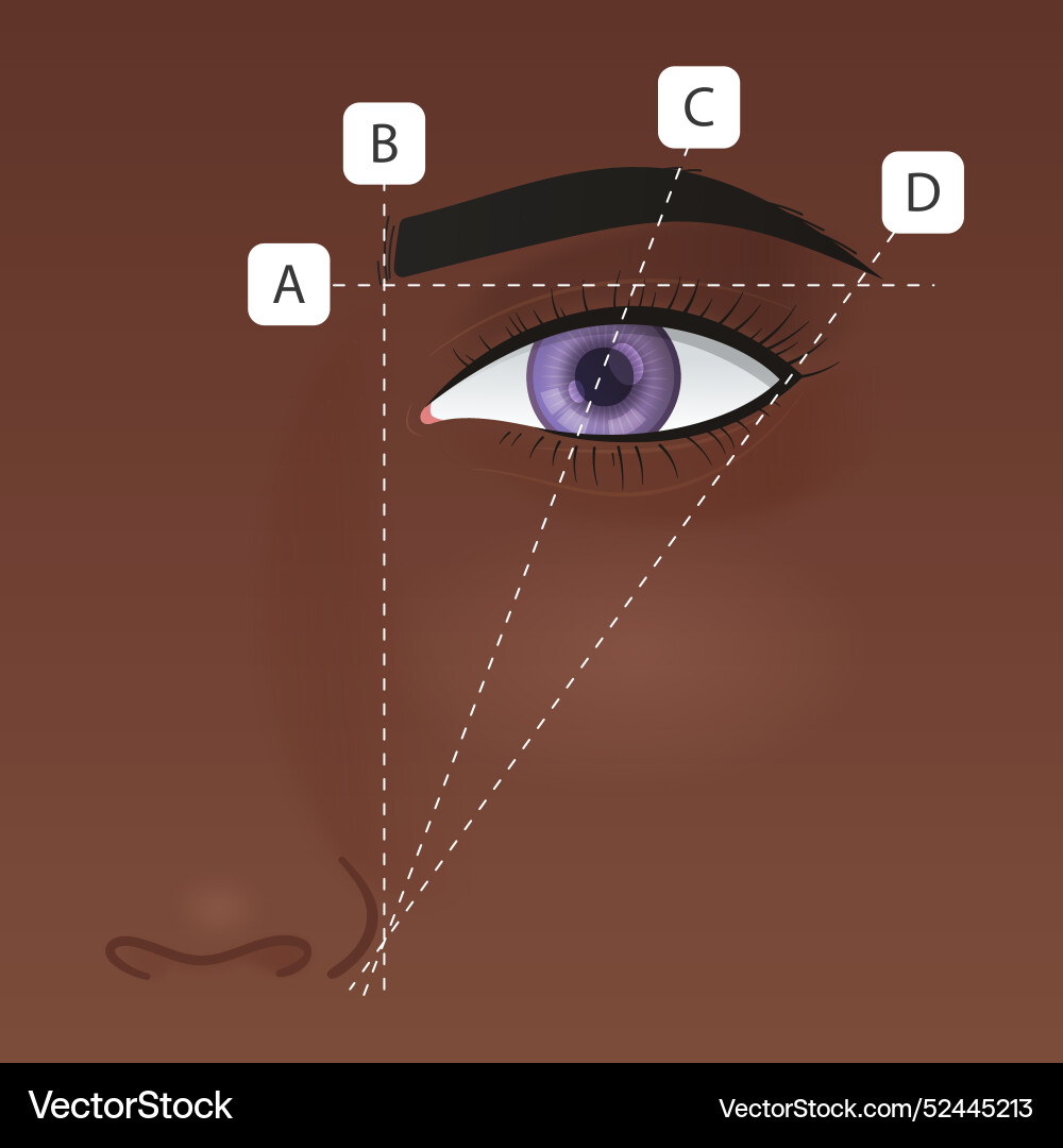 Gradient brow mapping Vector Image