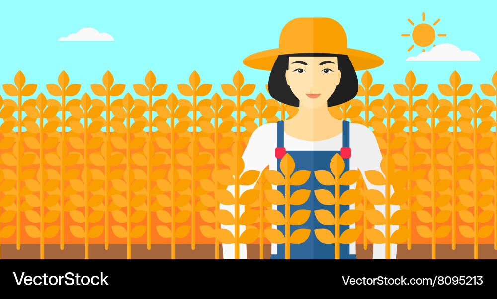 Man in wheat field vector image