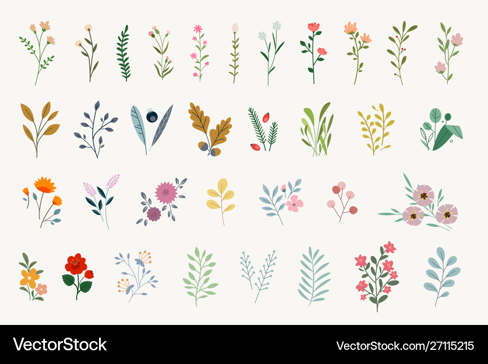 Floral Elements Set vector image