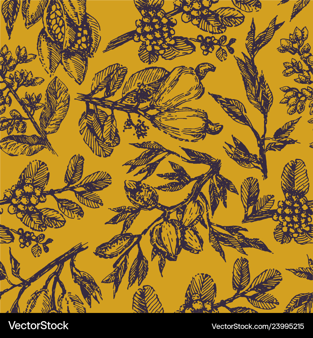 Nutty Branch with Cocoa & Almonds vector image