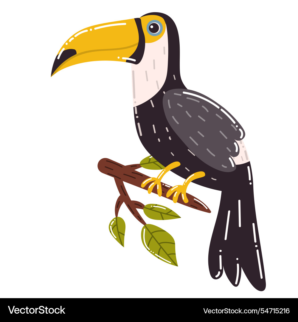 Cute Cartoon toucan große tropische Vogel Cute Cartoon toucan große tropische Vogel vektorbild