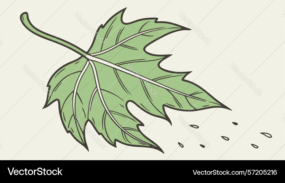 Isolated maple leaf with subtle texture design vector image