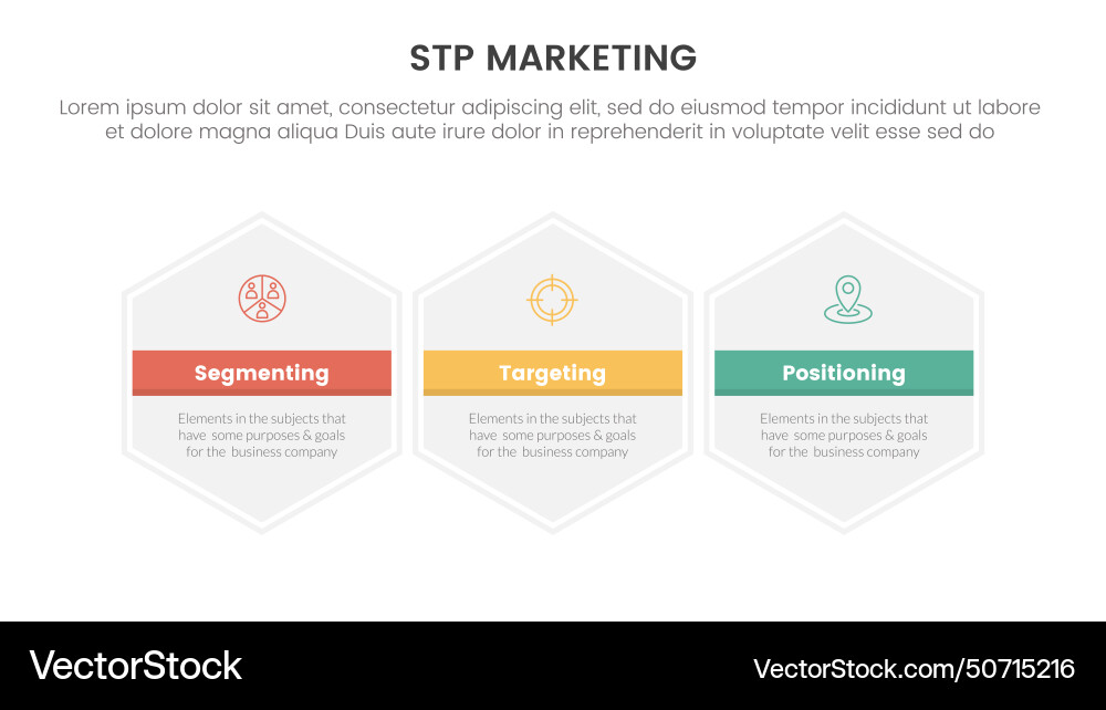 Stp marketing strategy model for segmentation Stp marketing strategy model for segmentation vector image