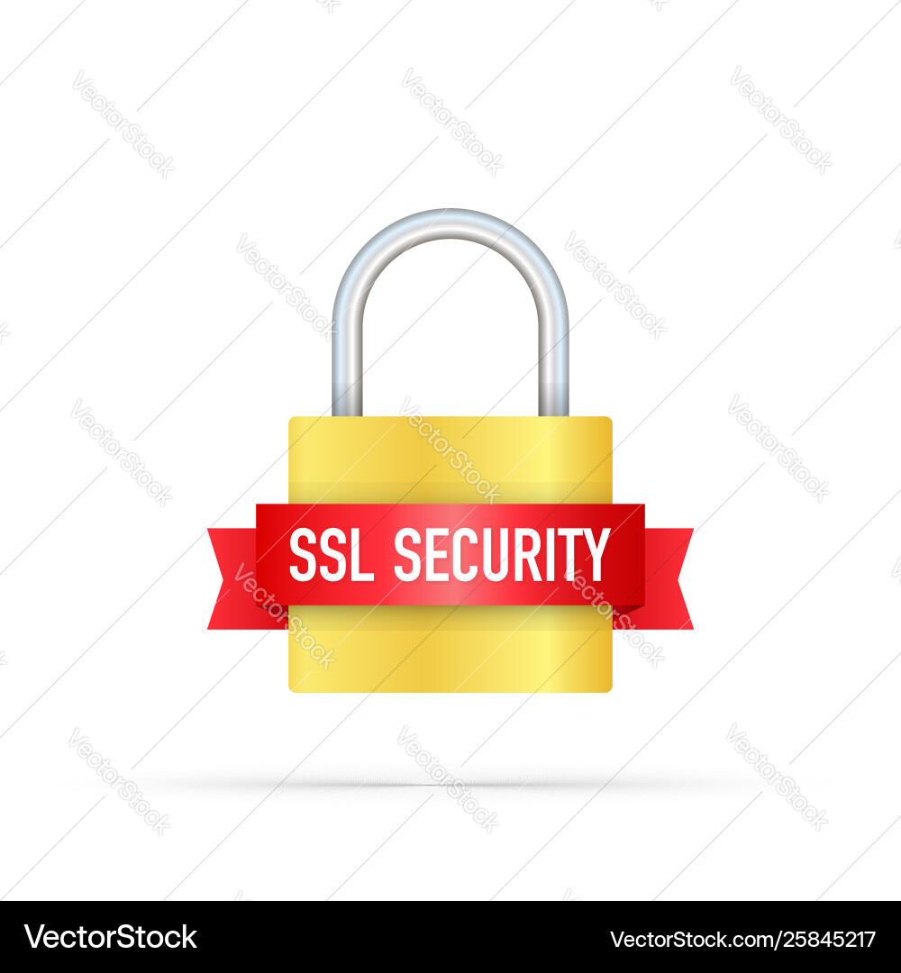 Secure connection icon isolated on white Vector Image