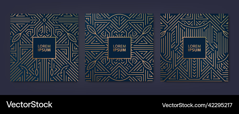 Set of luxury cover templates square line Set of luxury cover templates square line vector image