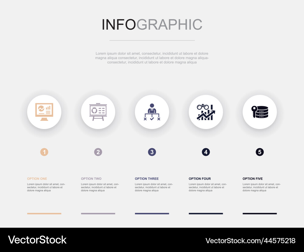 Data Performance Insights - 5 Step Template Vector Image