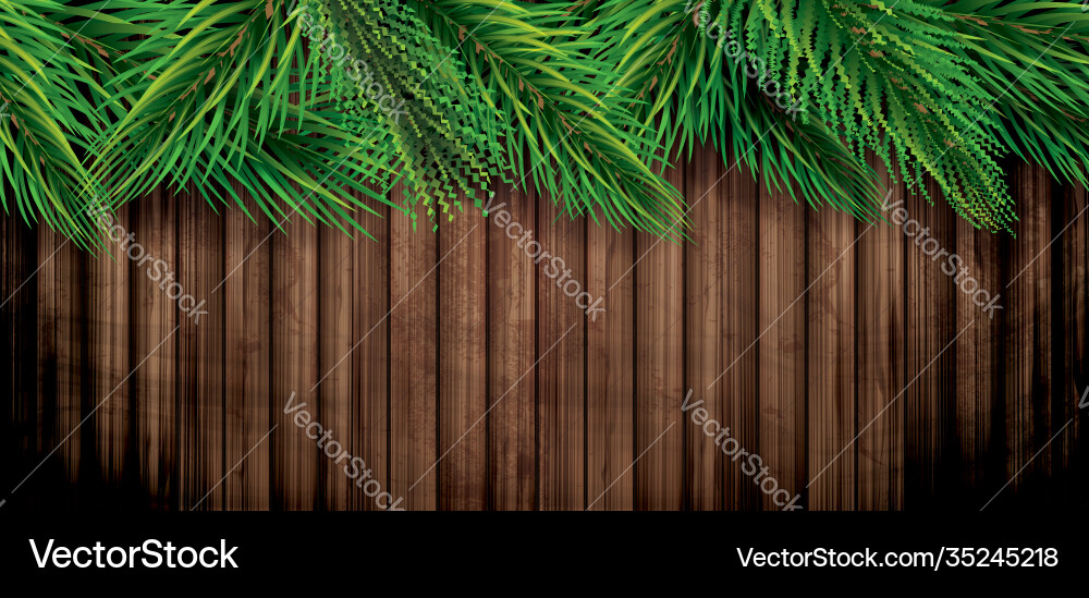 Fir branches on wooden background pine sprigs Fir branches on wooden background pine sprigs vector image