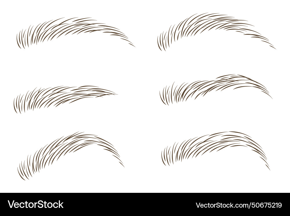 Brows set design Vector Image