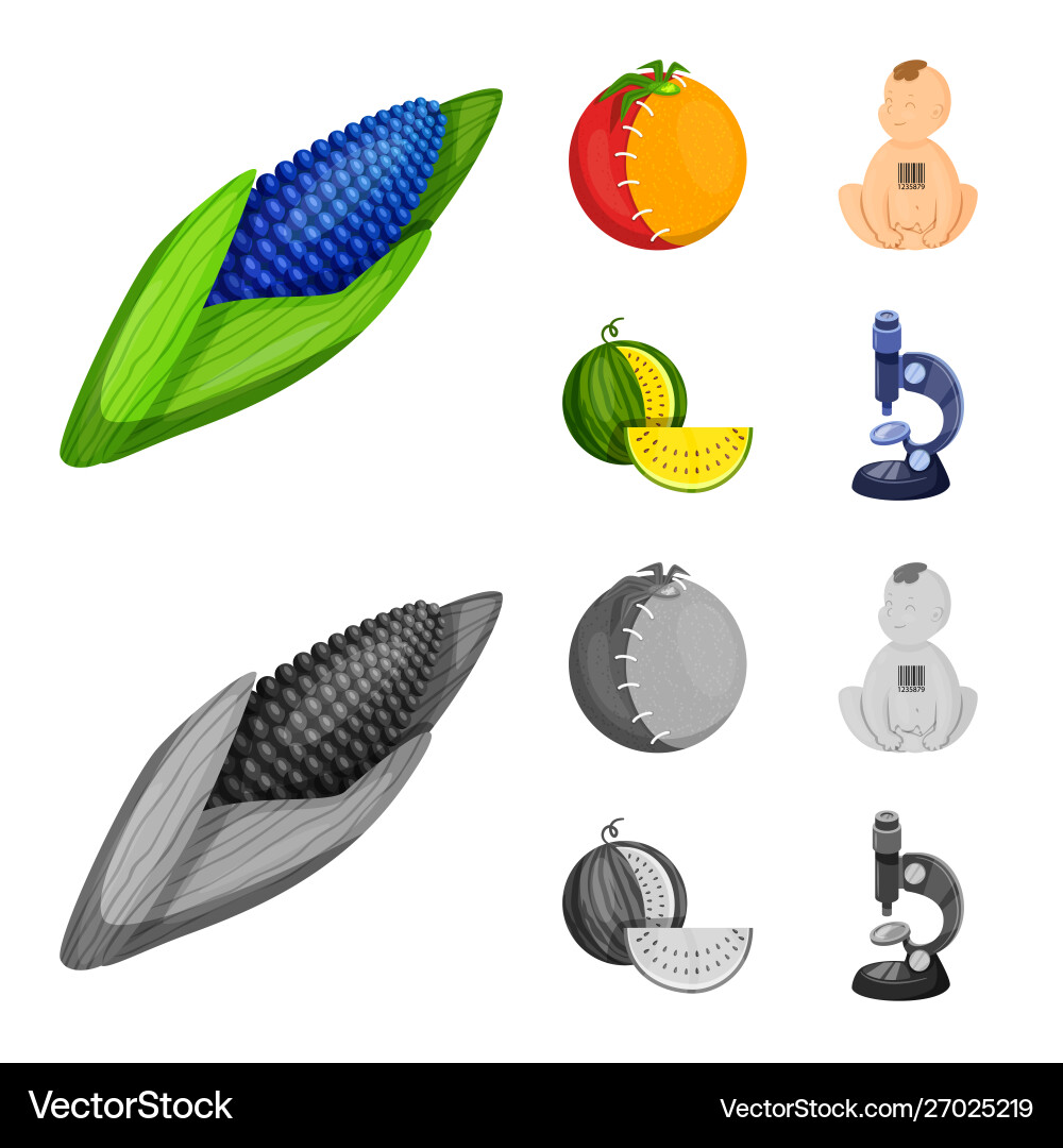 Isolated object test and synthetic icon set Isolated object test and synthetic icon set vector image