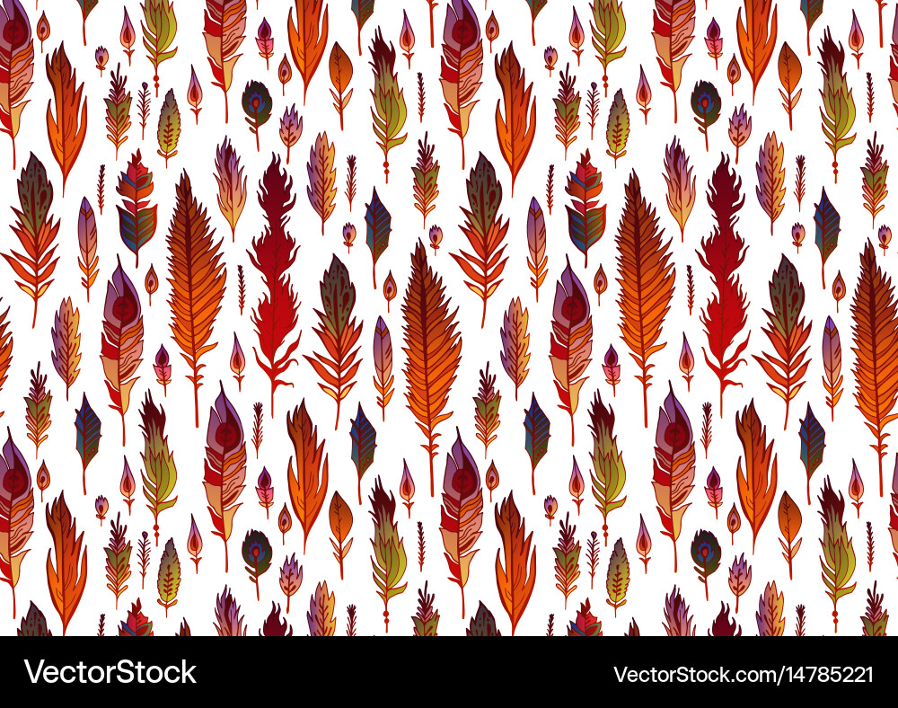 Rectangular background with boho feathers Vector Image