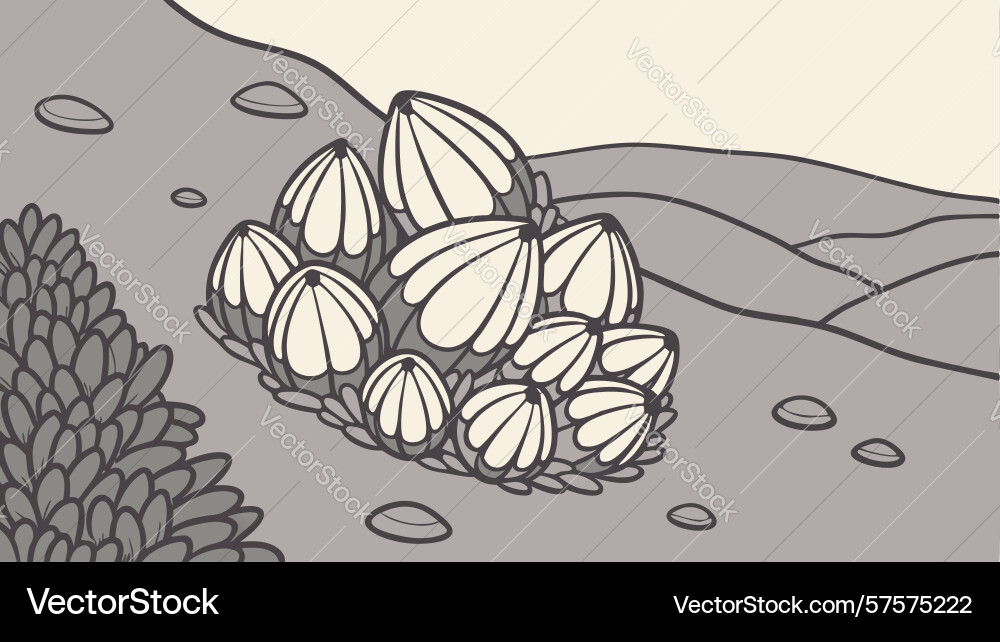 Seashell clusters on a hillside with rolling Vector Image