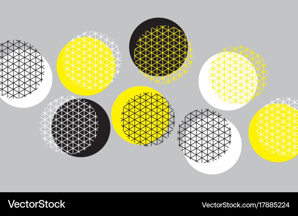 Circle geometry pattern with line mash Vector Image