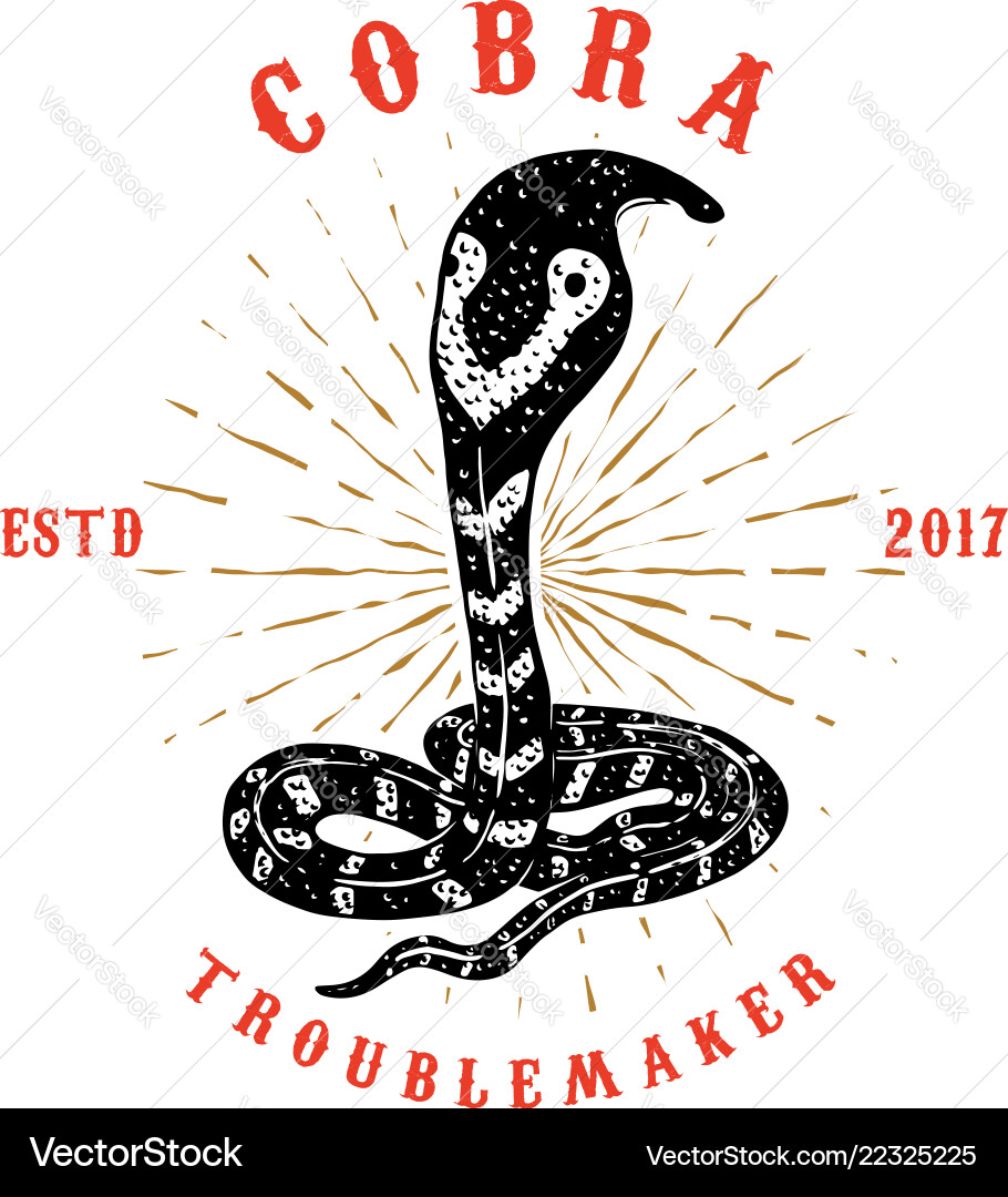 Cobra snake on grunge background design element Cobra snake on grunge background design element vector image