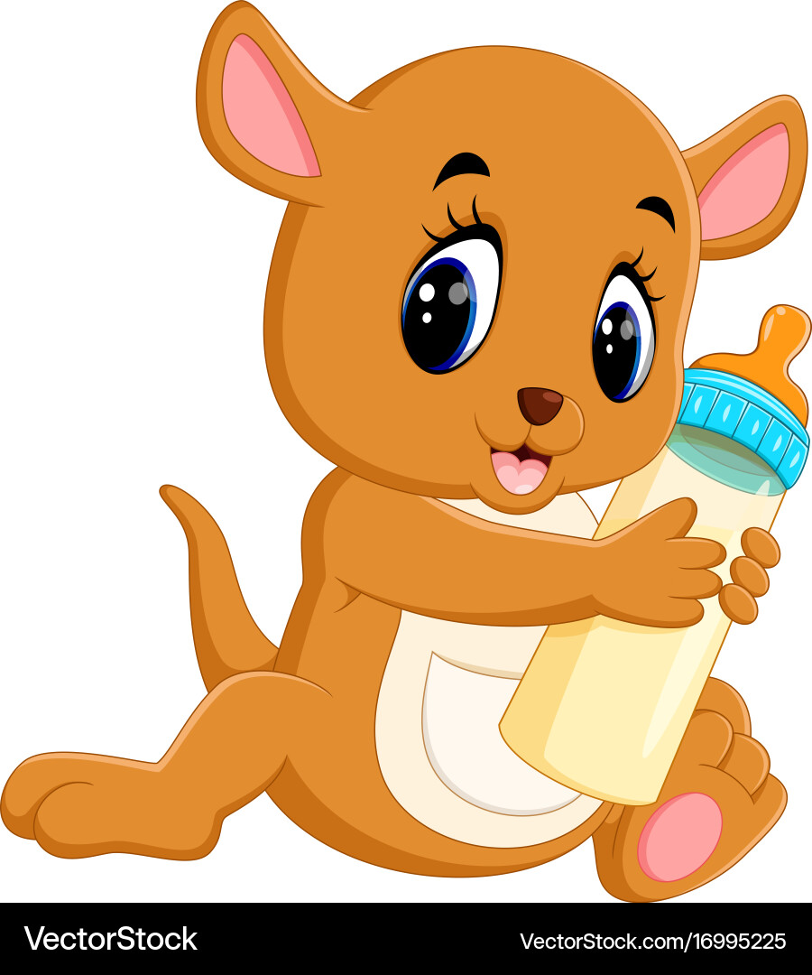 Cute baby kangaroo cartoon vector image