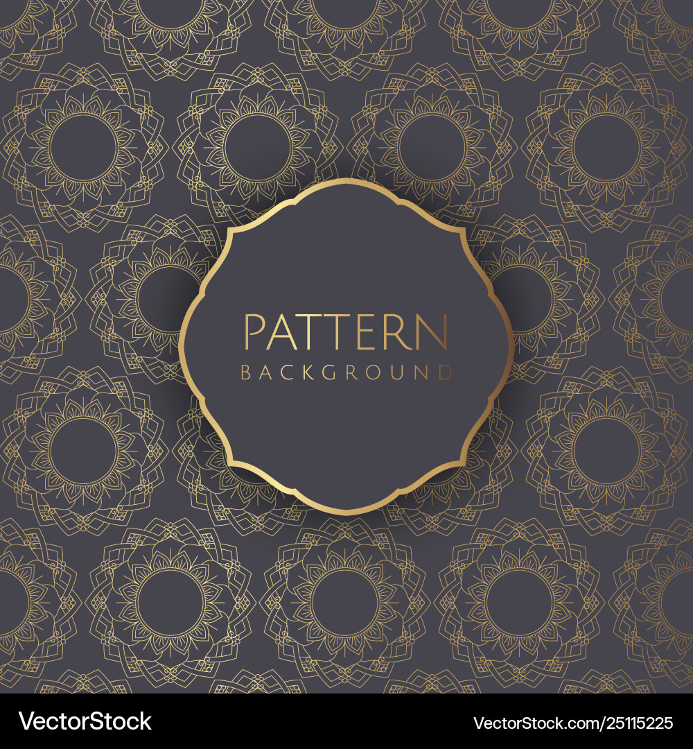 Decorative pattern background 2 vector image