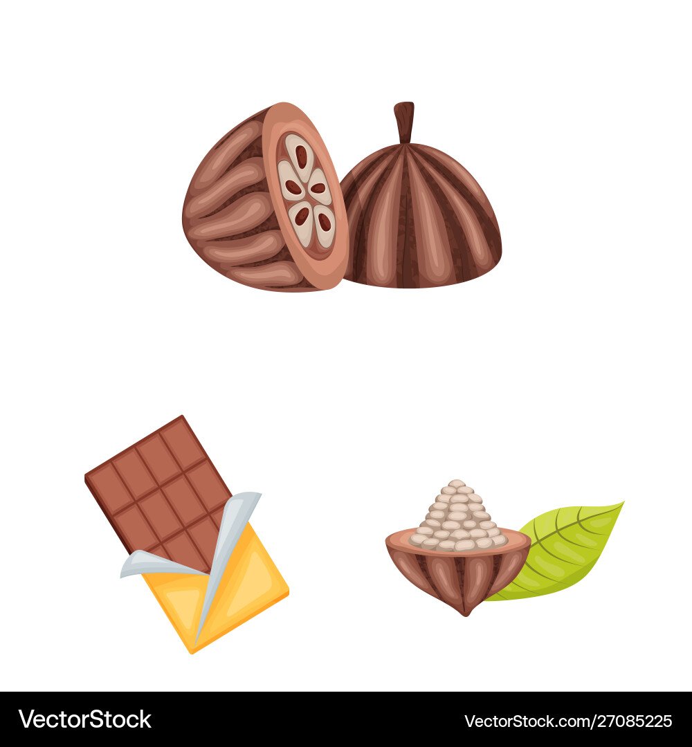 Isolated object cocoa and beans logo set Vector Image