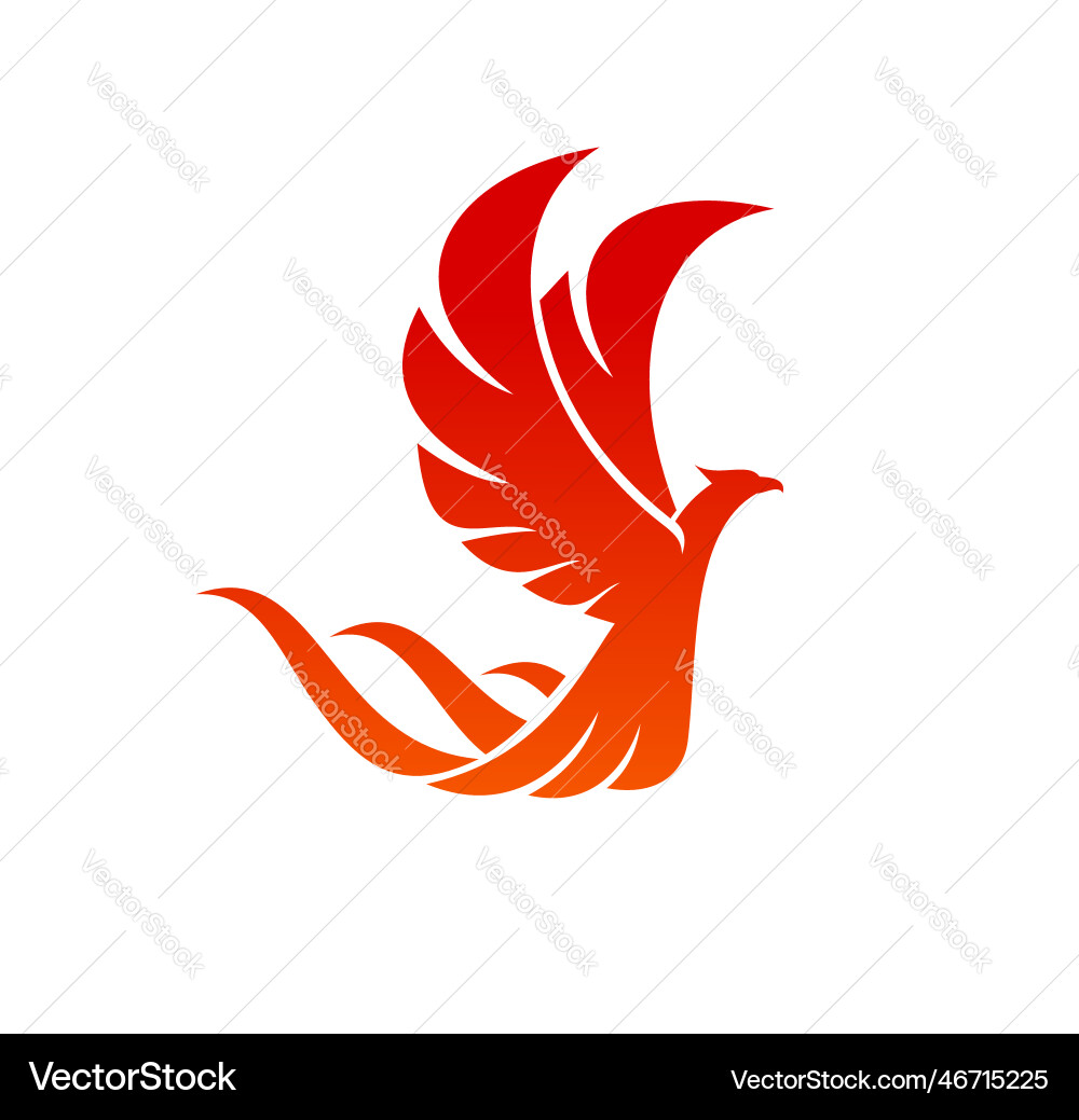 Phoenix bird with wings and tail of fire flames vector image