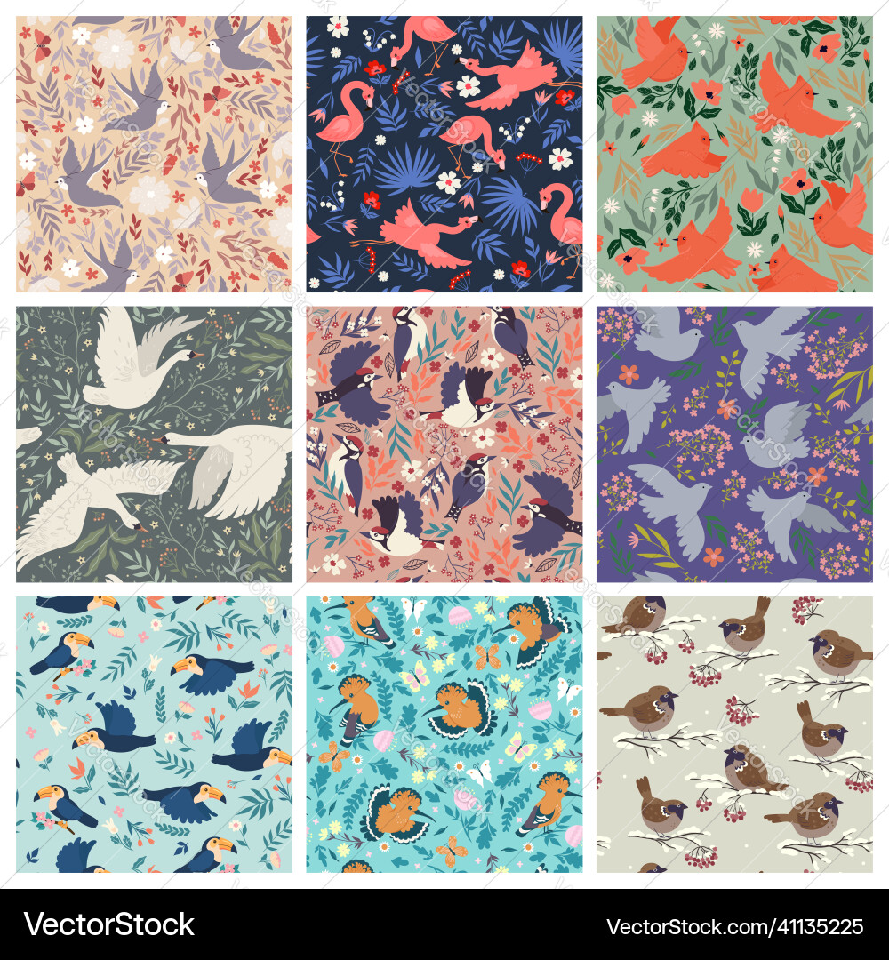 Set of patterns with various birds graphics Vector Image