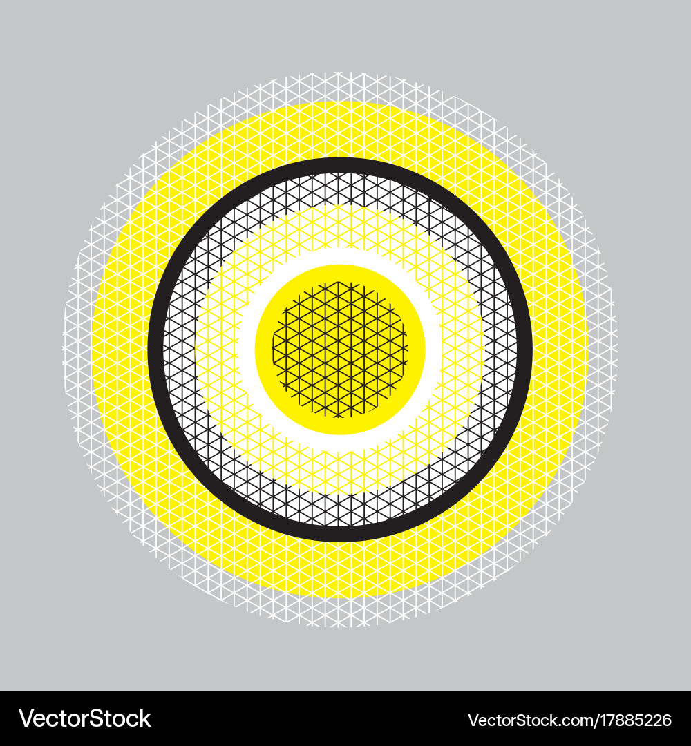 Circle geometry pattern with line mash Vector Image
