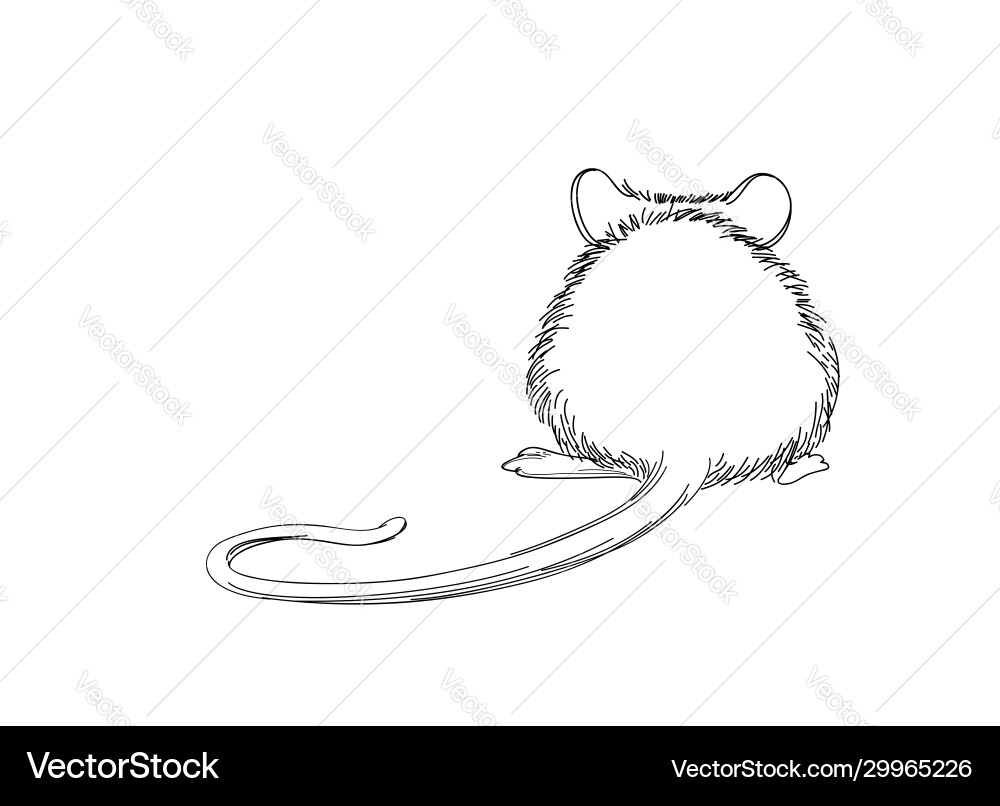 Mouse sketch hand-drawn line art animal isolated Mouse sketch hand-drawn line art animal isolated vector image