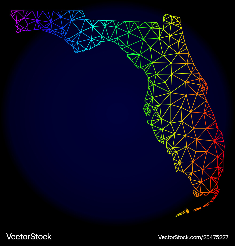 Polygonal network spectrum mesh map Polygonal network spectrum mesh map Vector Image