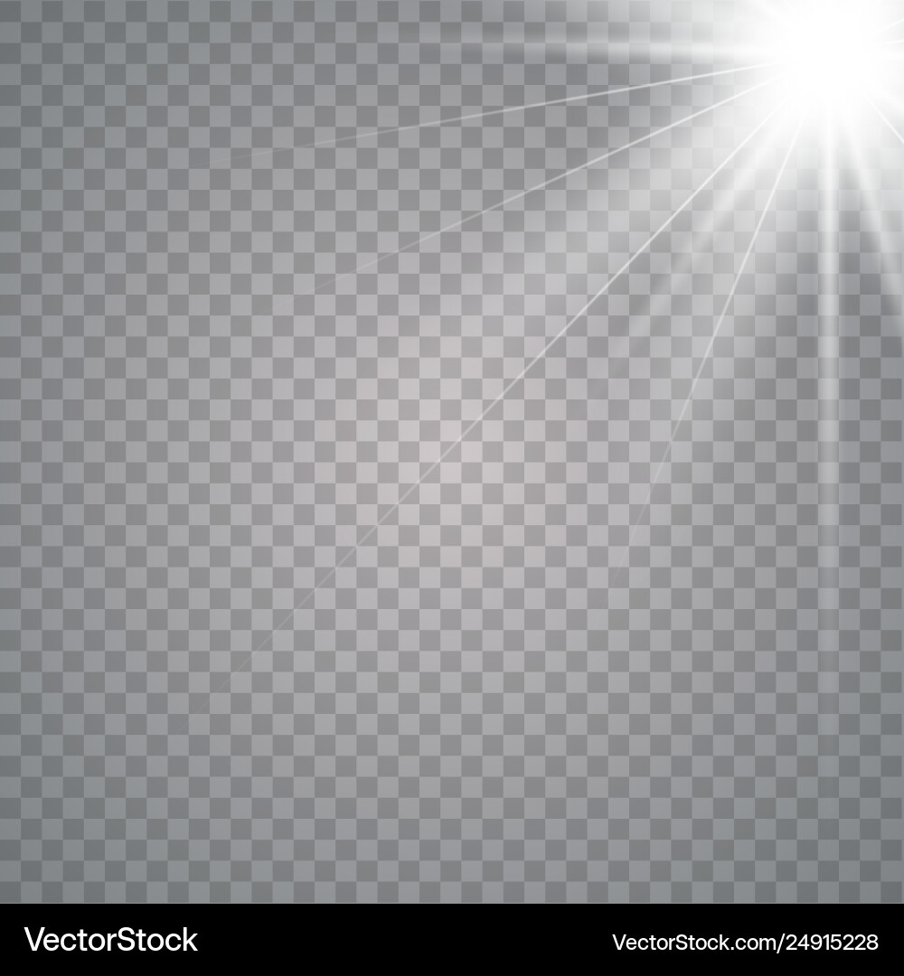 Sunlight on a transparent background Vector Image