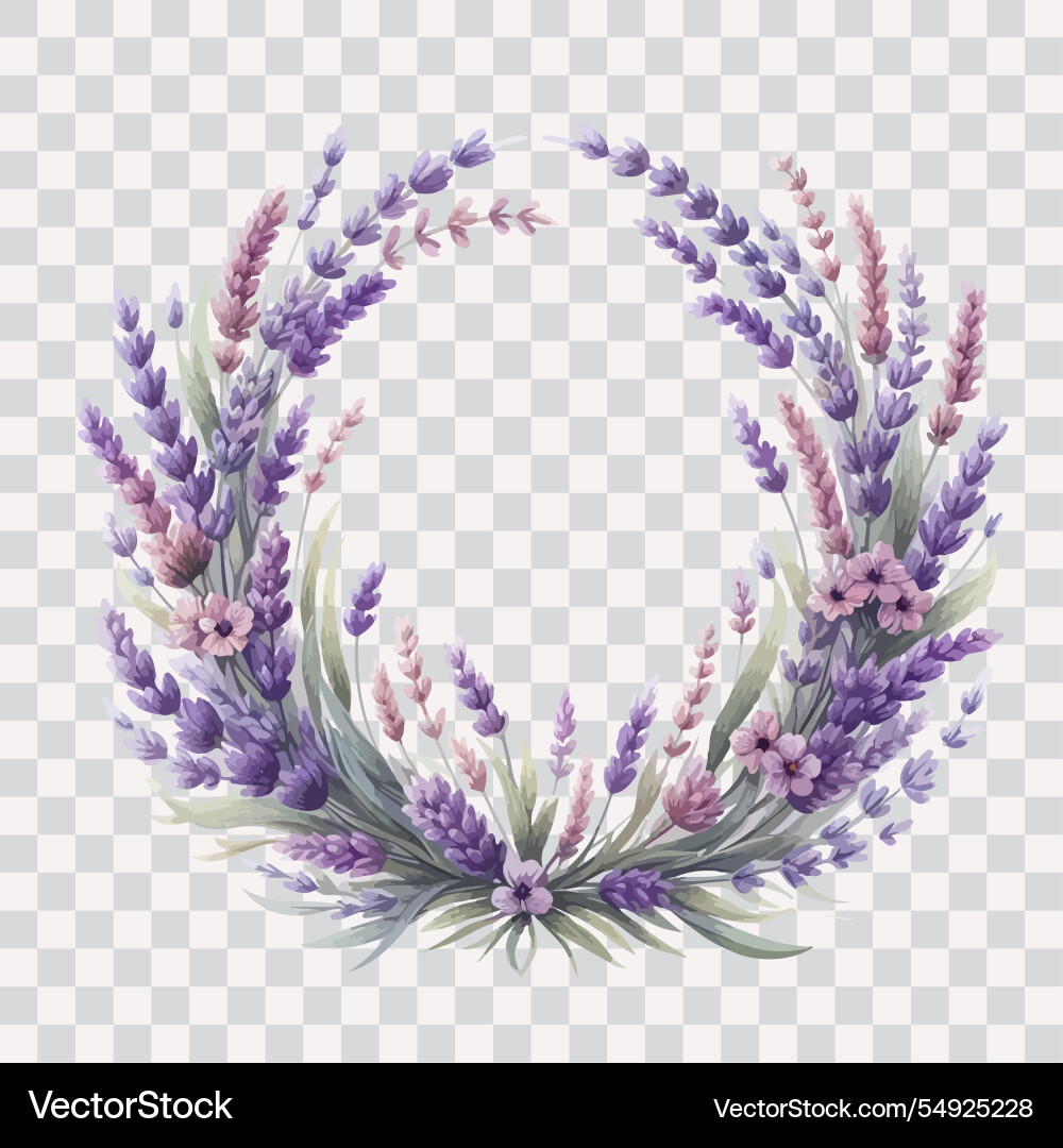 Watercolor lavender wreath hand drawn floral Watercolor lavender wreath hand drawn floral vector image