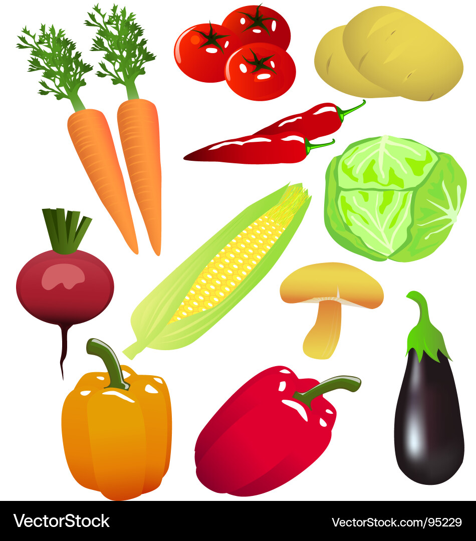 Assorted Vegetables Vector Image