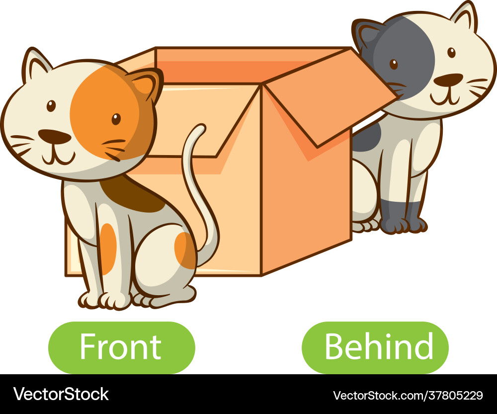 Opposite words with front and behind Opposite words with front and behind vector image