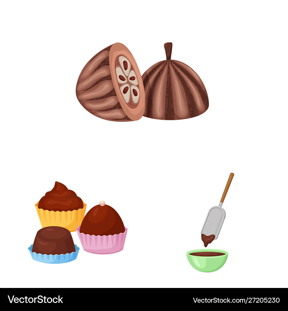 Design cocoa and beans sign set Design cocoa and beans sign set Vector Image