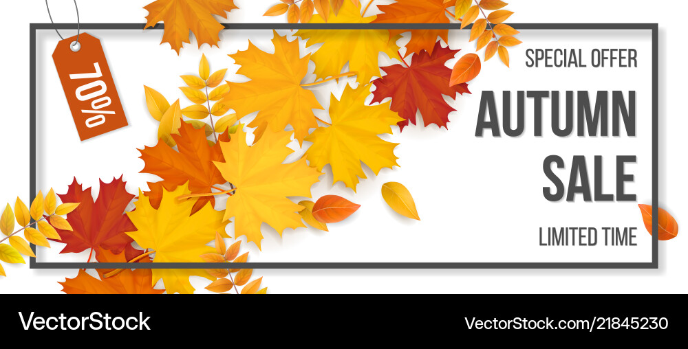 Sale frame autumn fallen leaves Sale frame autumn fallen leaves vector image