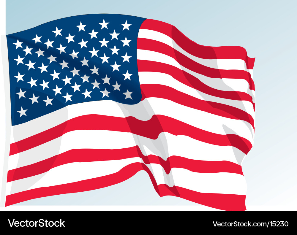 Waving American Flag vector image