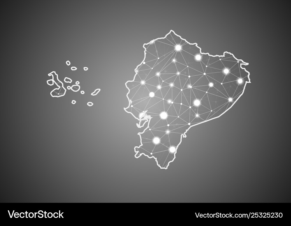 Wireframe mesh polygonal ecuador map abstract Vector Image