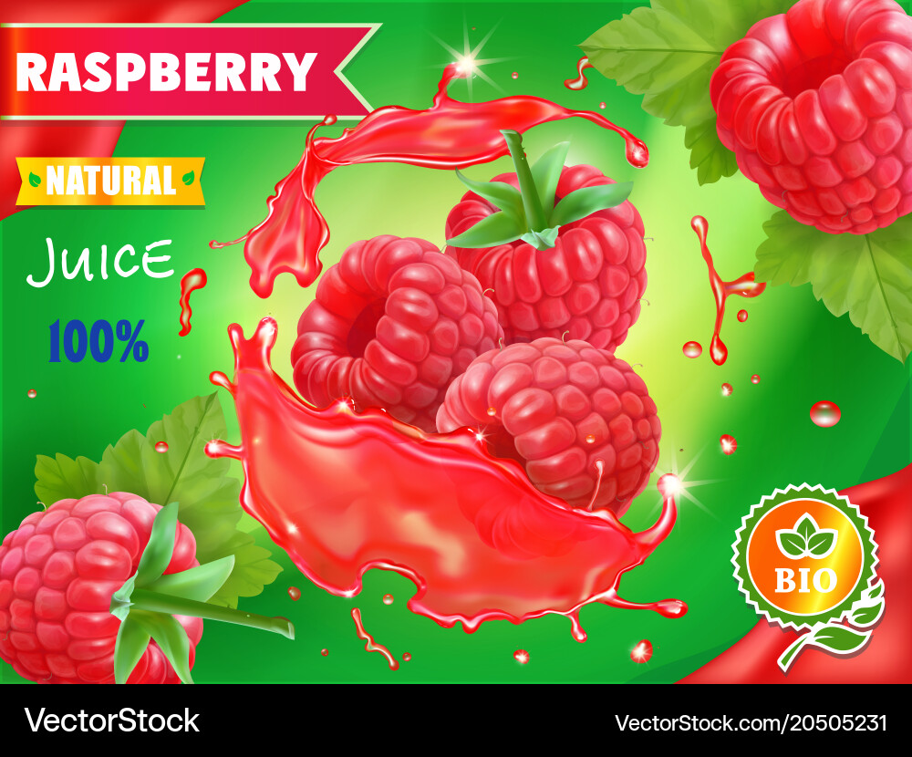 Raspberry juice package design with splash vector image